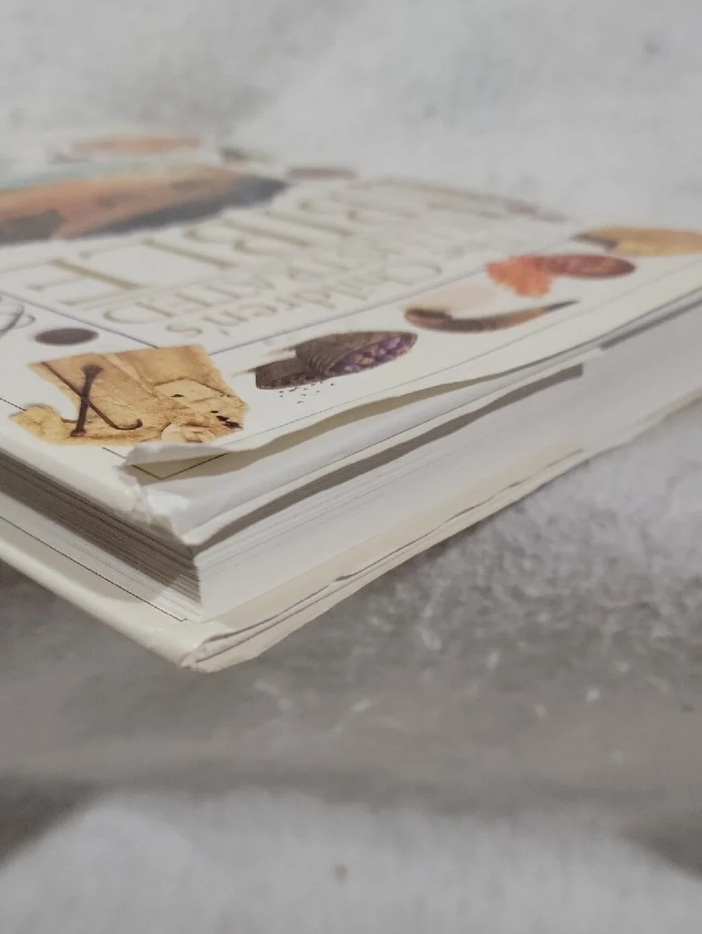 The Children's Illustrated Bible - Hard  Cover